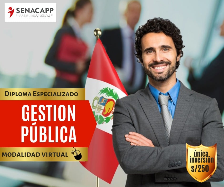 Gestión Pública 